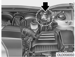 Filtro del carburante (MOTORE DIESEL)