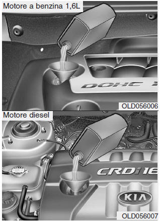 Olio e filtro olio motore